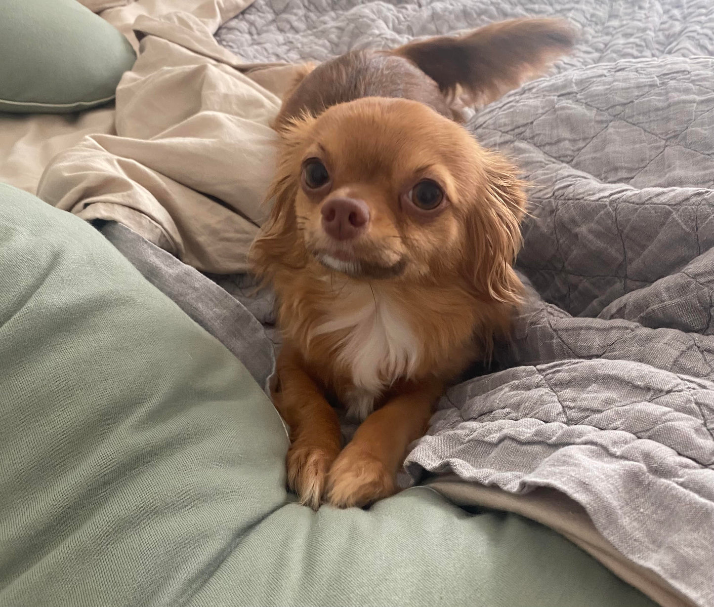 The 'Groom Room' Series