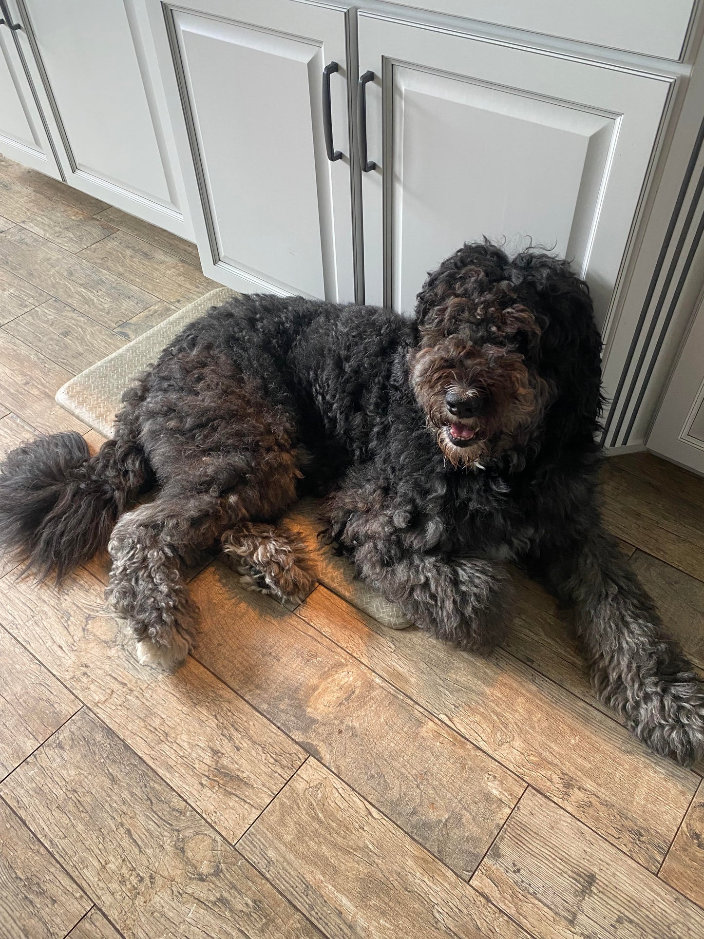 The 'Groom Room' Series